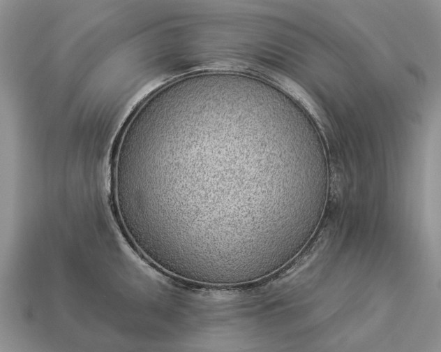 X0000112981095200909101709