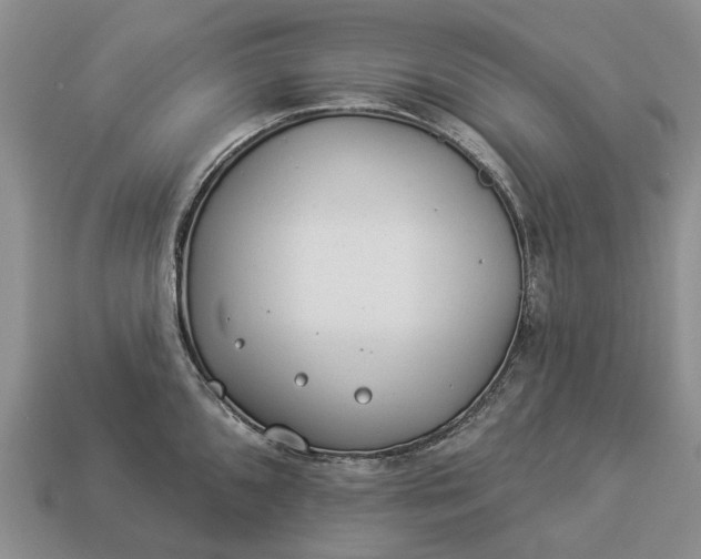 X0000112981096200909101709