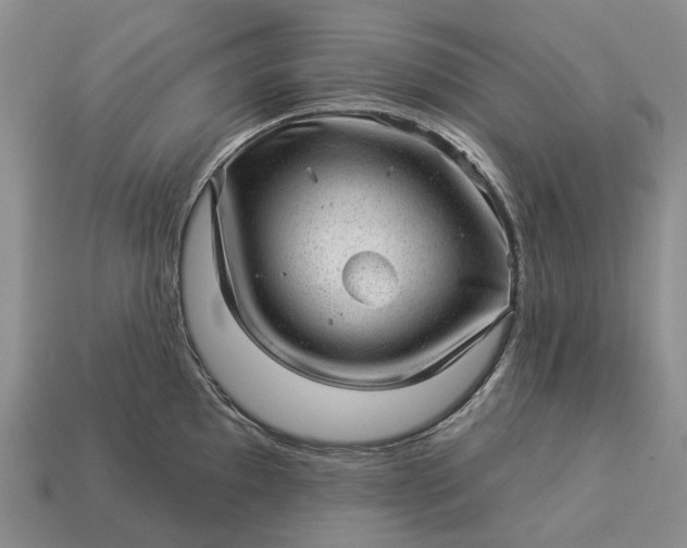 X0000112981097200909101709