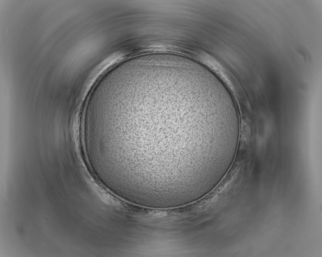 X0000112981098200909101709