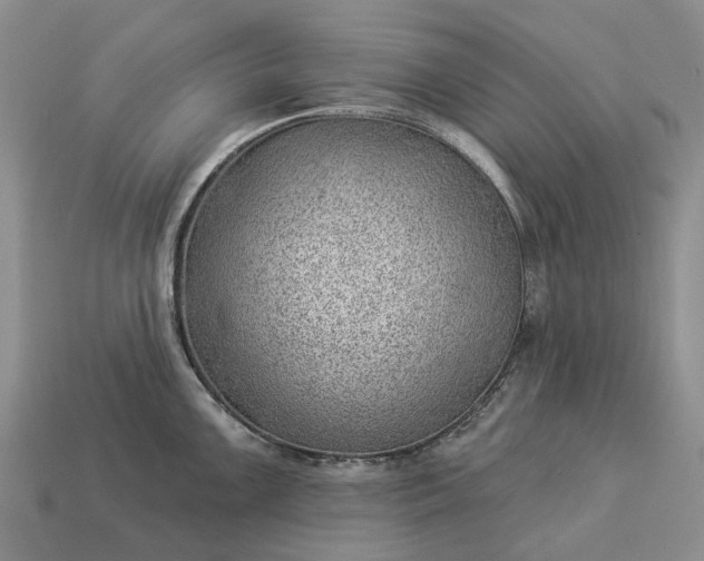 X0000112981099200909101709