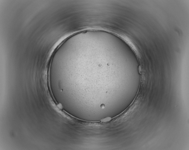 X0000112981100200909101709