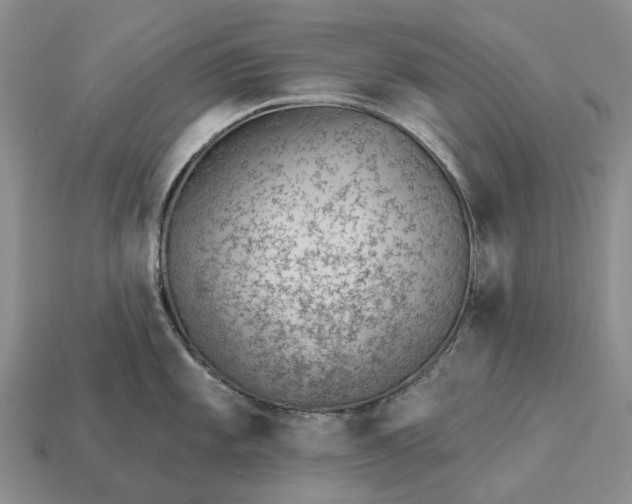 X0000112981101200909101709