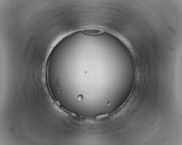 X0000112981102200909101709