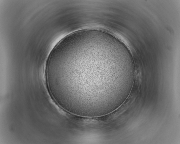 X0000112981103200909101709