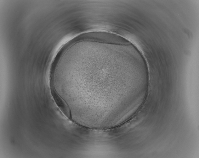 X0000112981104200909101709