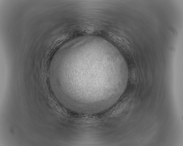 X0000112981105200909101708