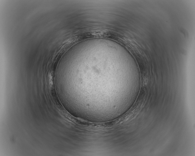 X0000112981106200909101708