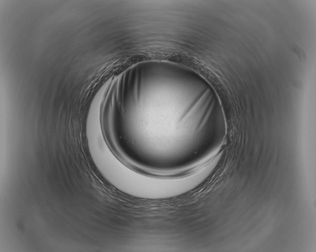 X0000112981108200909101708