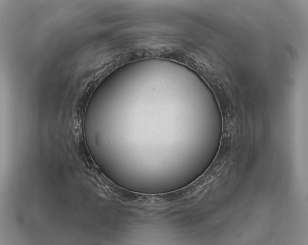 X0000112981109200909101708