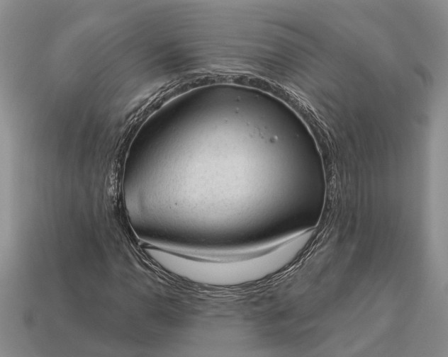 X0000112981110200909101708