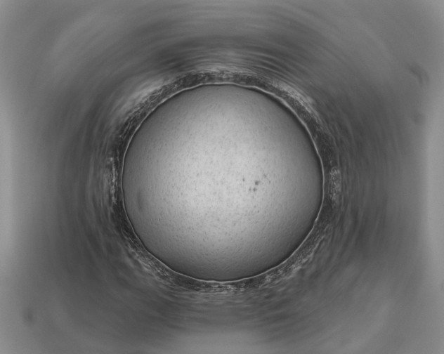 X0000112981111200909101708