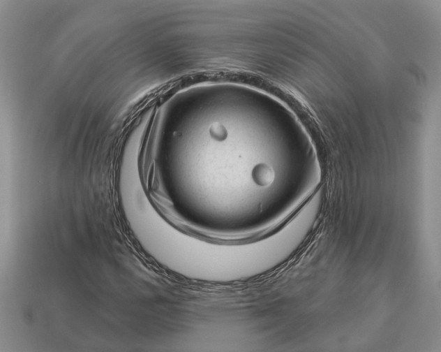 X0000112981112200909101708