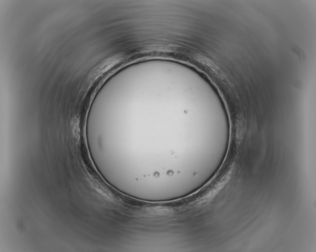 X0000112981113200909101708