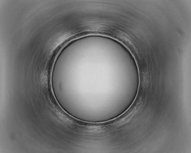 X0000112981114200909101708