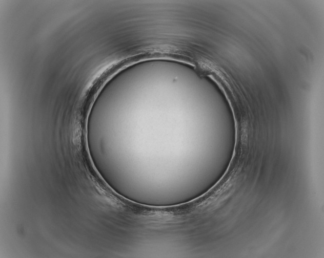 X0000112981115200909101708