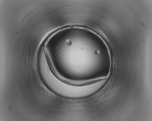 X0000112981116200909101708