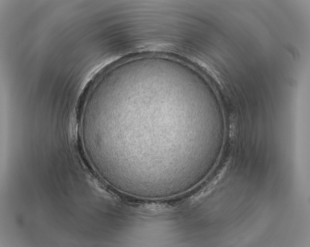 X0000112981117200909101708