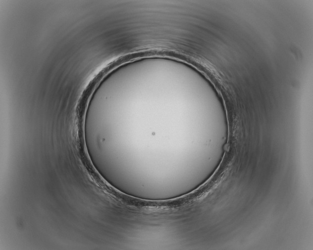 X0000112981118200909101708