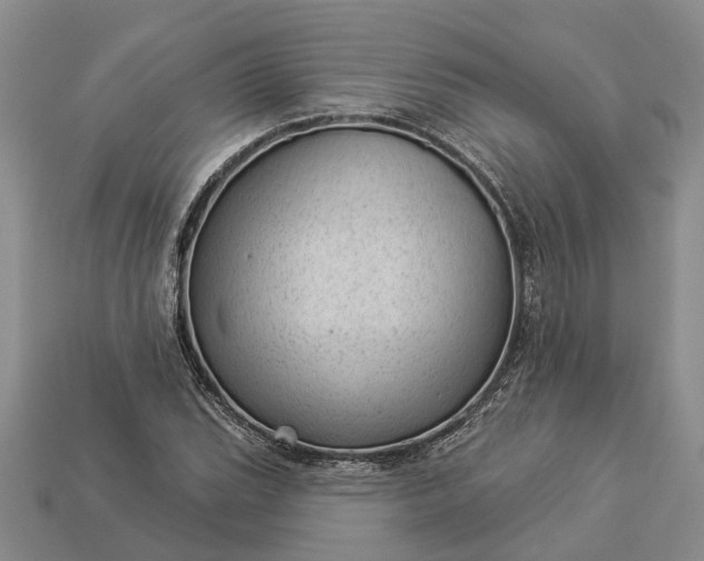 X0000112981119200909101708