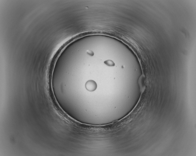 X0000112981120200909101708