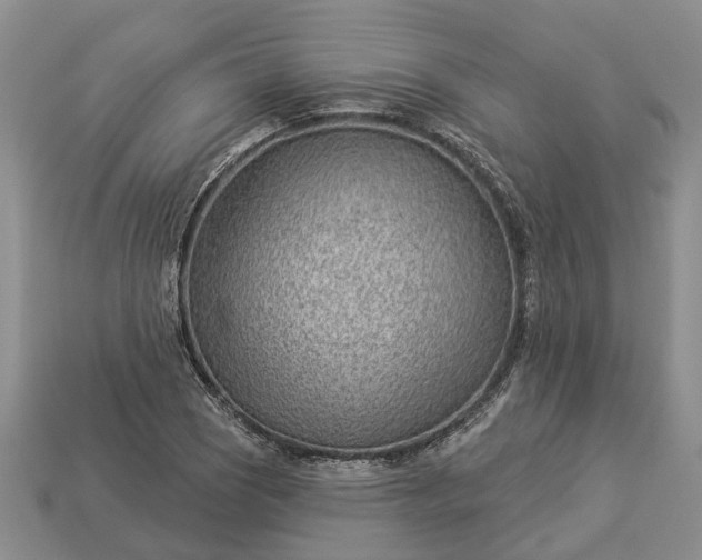 X0000112981121200909101708