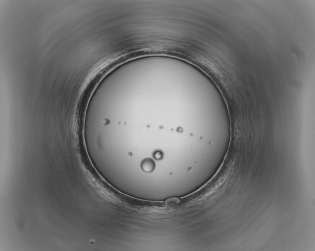 X0000112981122200909101708