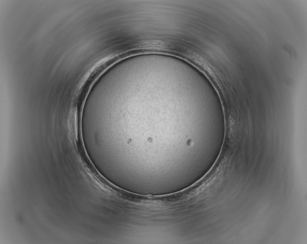 X0000112981123200909101708