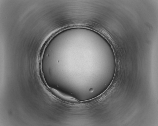 X0000112981124200909101708