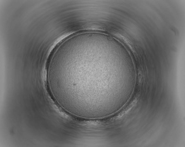 X0000112981125200909101708