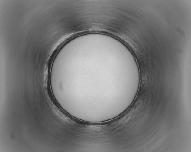 X0000112981126200909101708