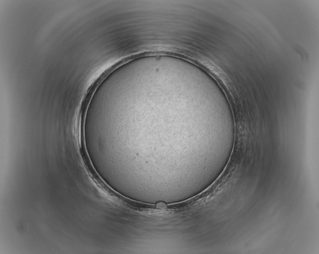 X0000112981127200909101708