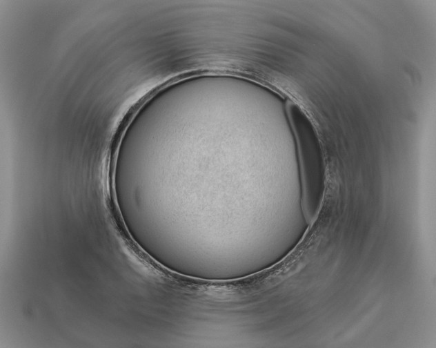 X0000112981128200909101708