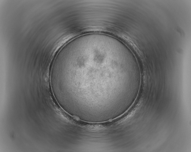 X0000112981129200909101709