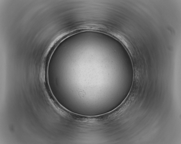 X0000112981131200909101709