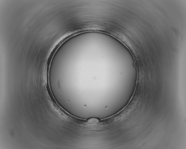 X0000112981132200909101709