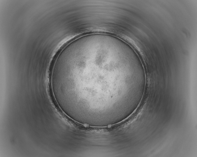 X0000112981133200909101709