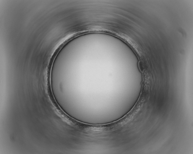 X0000112981134200909101709