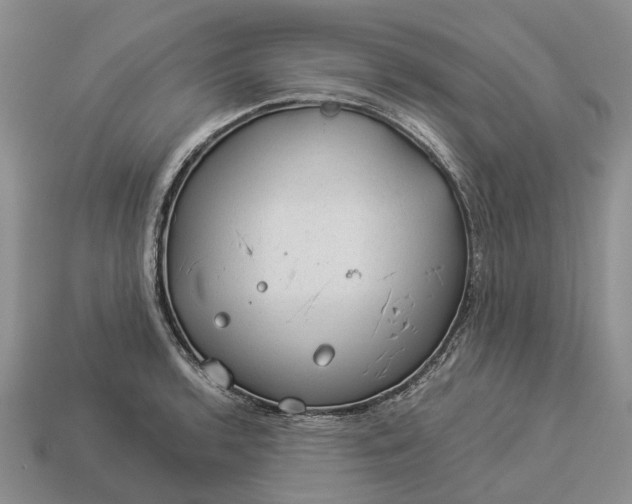 X0000112981136200909101709