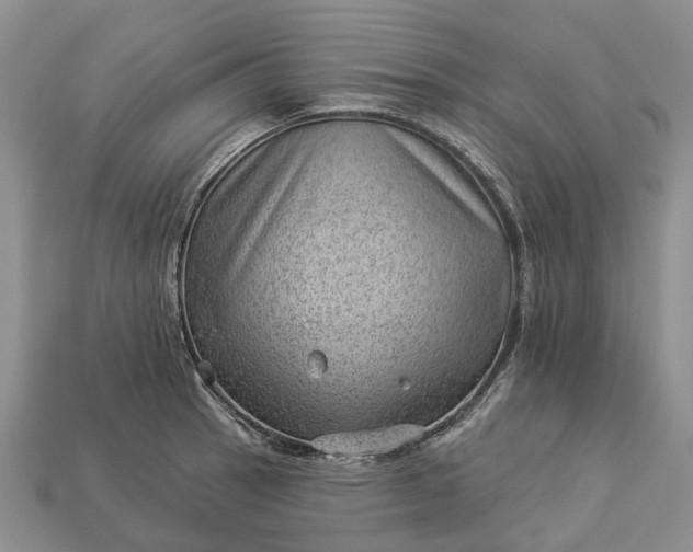 X0000112981137200909101709