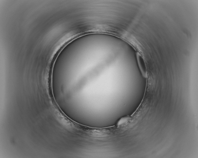 X0000112981138200909101709