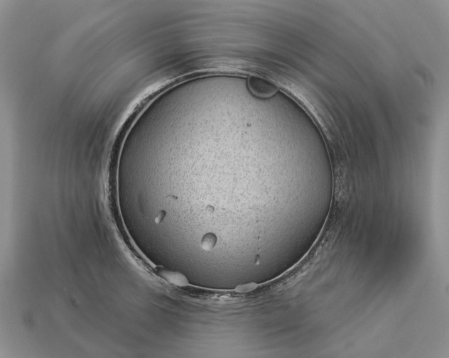 X0000112981139200909101709