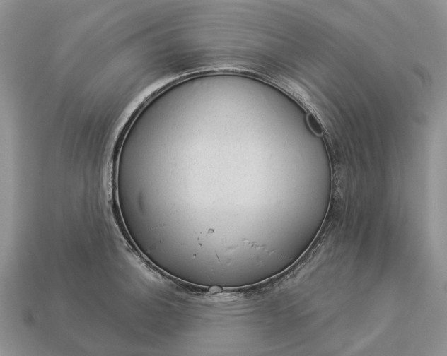 X0000112981140200909101709