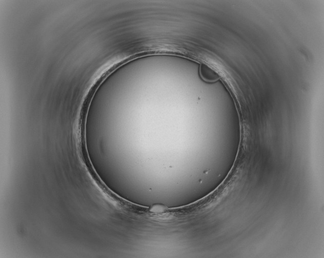 X0000112981141200909101709