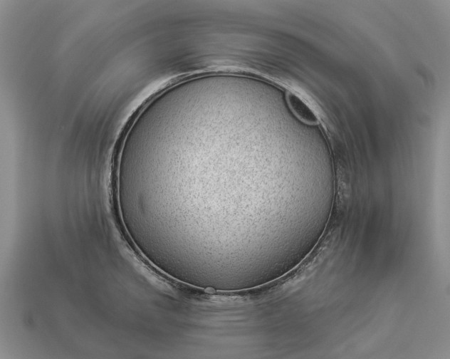 X0000112981142200909101709