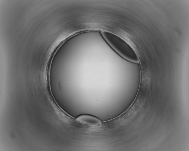 X0000112981144200909101709