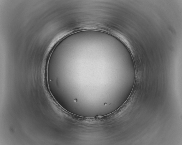 X0000112981146200909101709