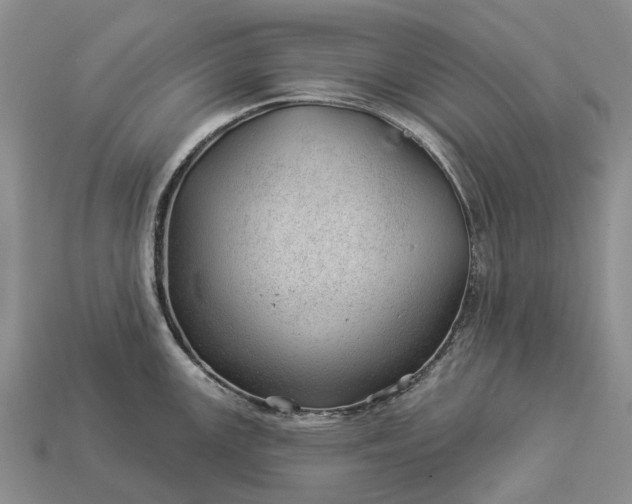 X0000112981147200909101709