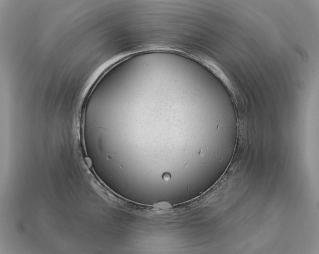 X0000112981148200909101709