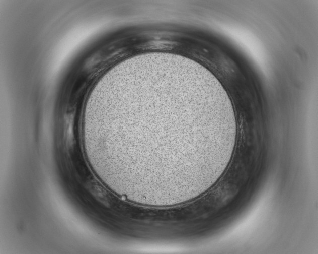 X0000112981150200909101709